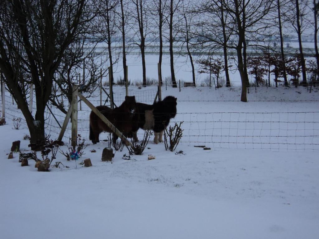 La Demeure Bed and Breakfast Vassonville Exteriör bild