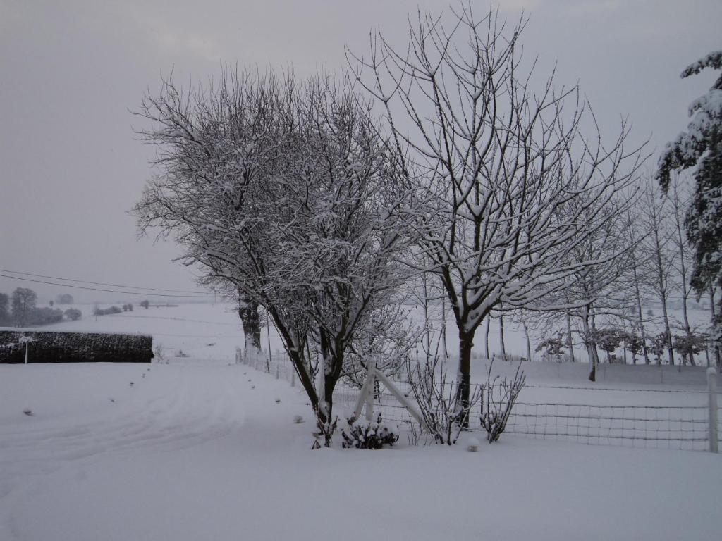 La Demeure Bed and Breakfast Vassonville Exteriör bild